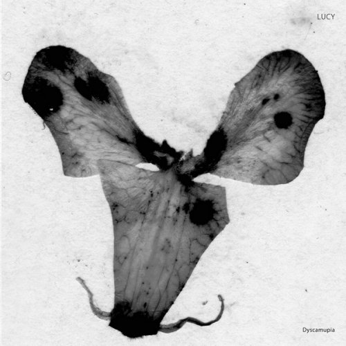 Lucy - Dyscamupia (2019)