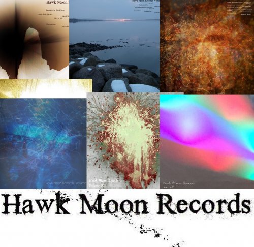VA - Hawk Moon Records Vol.1-7 (2010-2018)