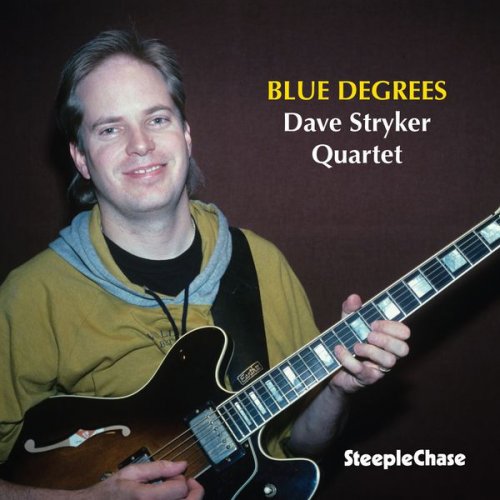 Dave Stryker - Blue Degrees (1993) flac