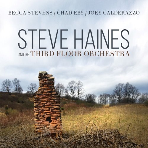 Steve Haines and the Third Floor Orchestra - Steve Haines and the Third Floor Orchestra (2019)