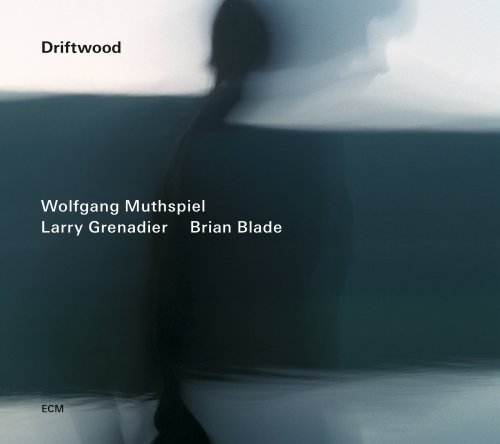 Wolfgang Muthspiel - Driftwood (2014) [HDtracks]