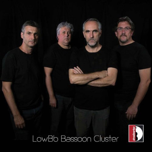 Giorgio Mandolesi - LowB-Flat Bassoon Cluster (2019)