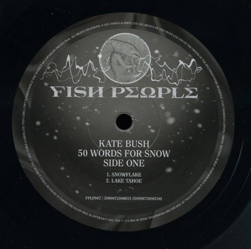 Kate Bush - 50 Words For Snow (2011) LP