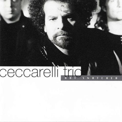 Andre Ceccarelli Trio - Hat Snatcher (1992)