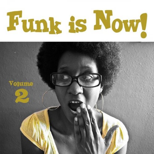 Various Interprets - Funk is Now! Vol. 2 (2018) FLAC