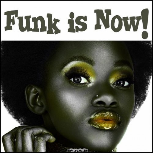 VA - Funk Is Now! (2014)