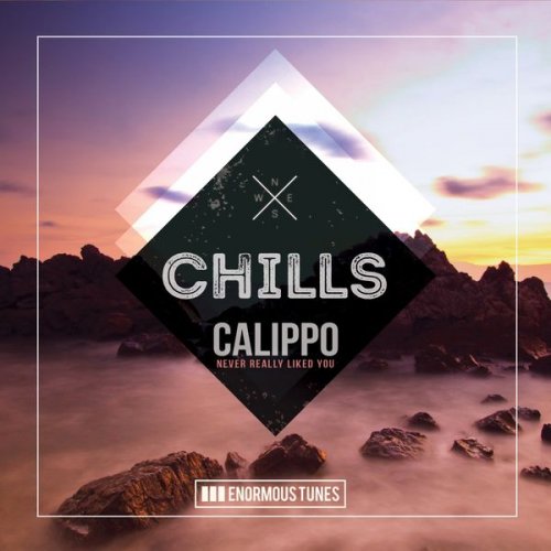 Calippo - Never Really Liked You (2019) [Hi-Res]