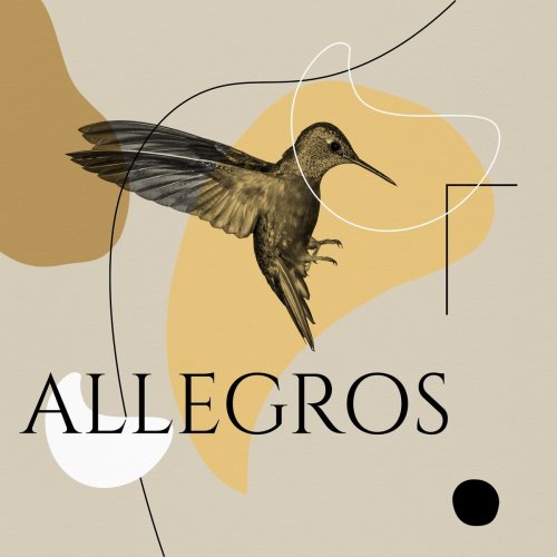 Various Artists - Allegros (2019)