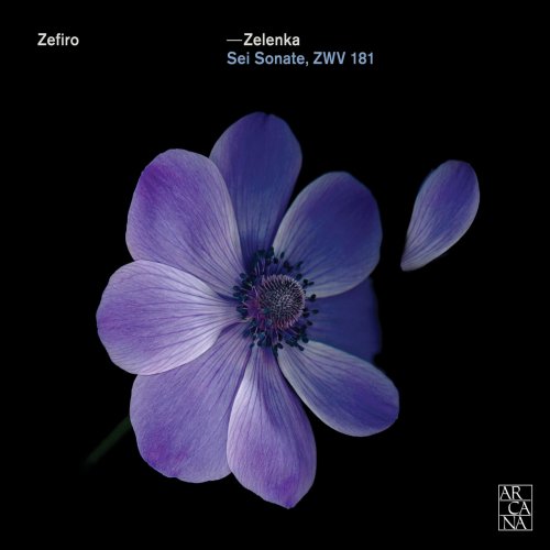 Zefiro - Zelenka: Sei sonate, ZWV 181 (2016)