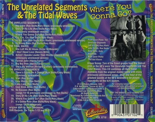 The Unrelated Segments & The Tidal Waves - Where You Gonna Go (1998)