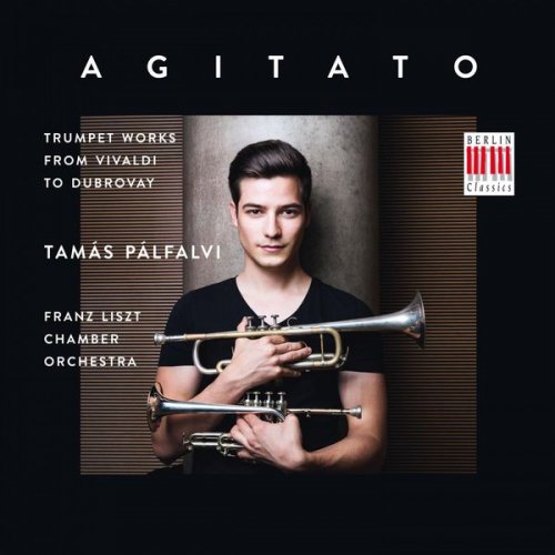 Tamás Palfalvi - Agitato (2015)