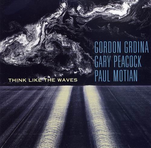 Gordon Grdina, Gary Peacock, Paul Motian - Think Like the Waves (2006)