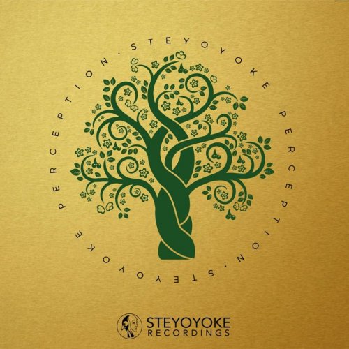 VA - Steyoyoke Perception, Vol. 5 (2019)