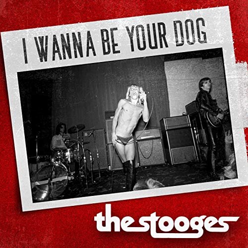 stooges raw power legacy