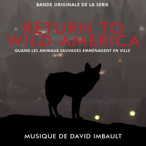 David Imbault - Return to Wild America, quand les animaux sauvages emménagent en ville (Bande originale de la série) (2019) [Hi-Res]