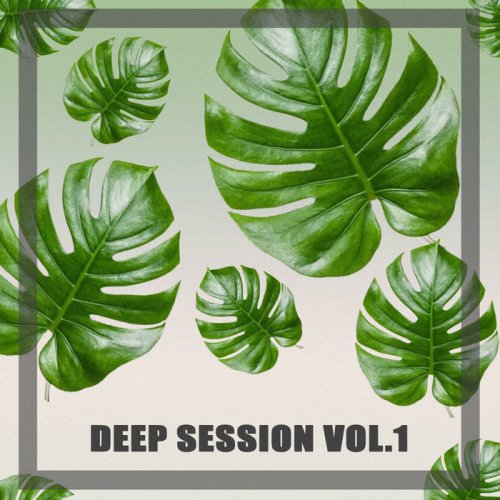 VA - Deep Session, Vol. 1 (2019)