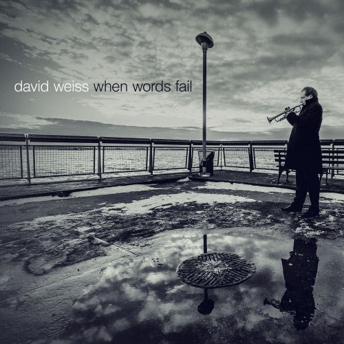 David Weiss - When Words Fail (2014) [Hi-Res]