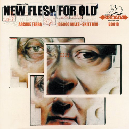New Flesh For Old - Arcade Terra (2000) flac