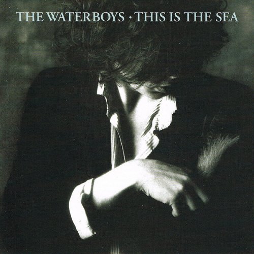 The Waterboys - This Is The Sea (Reissue, Remastered) (1985/2004)