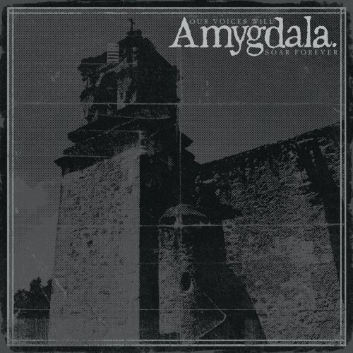 Amygdala - Our Voices Will Soar Forever (2019) flac