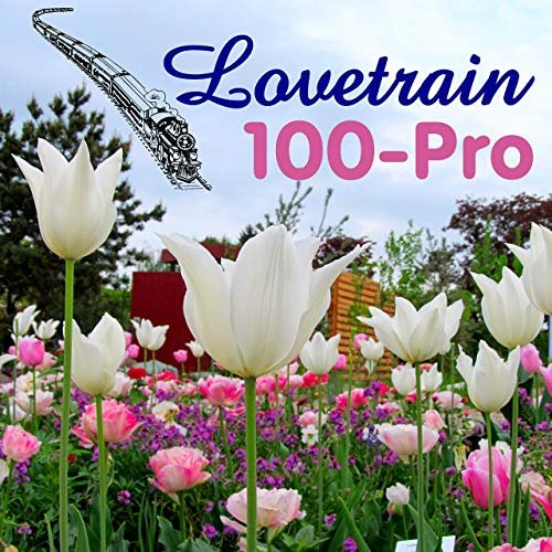 Lovetrain - 100-Pro (2019)