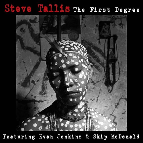 Steve Tallis - The First Degree (feat. Skip McDonald, Evan Jenkins) (2014)