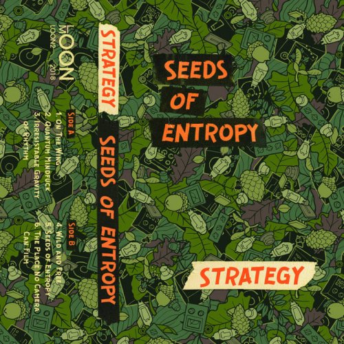 Strategy - Seeds of Entropy (2019)