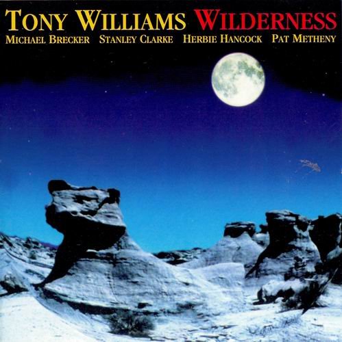 Tony Williams - Wilderness (1996)