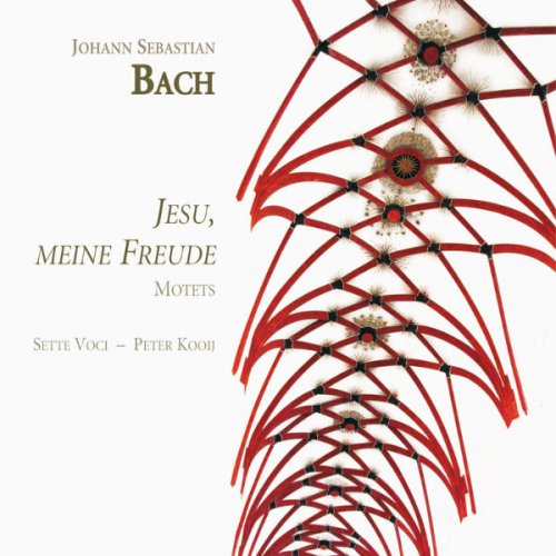 Sette Voci, Peter Kooij - Bach: Jesu, meine Freude (Motets) (2009)