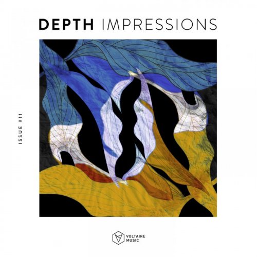 VA - Depth Impressions Issue #11 (2019)