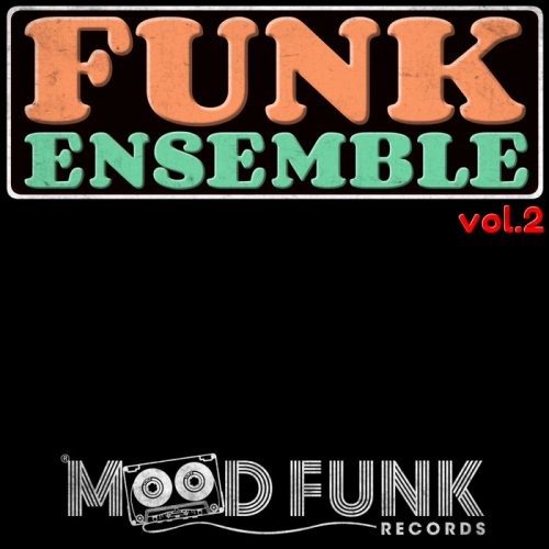 VA - Funk Ensemble, Vol. 2 (2019)