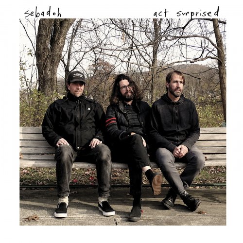 Sebadoh - Act Surprised (2019) [Hi-Res]