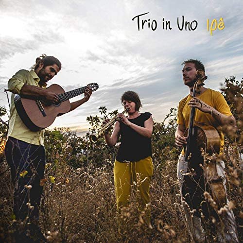 Trio in Uno - Ipê (2019) Hi Res