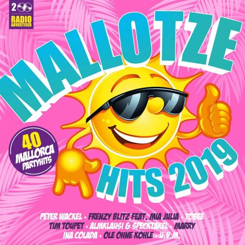 VA - Mallotze Hits 2019 (2019)