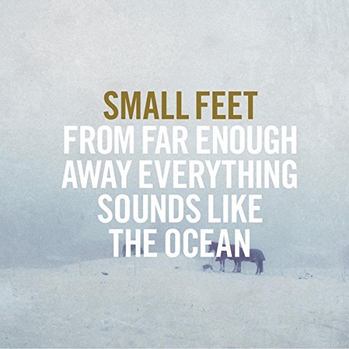 Small Feet - From Far Enough Away Everything Sounds Like The Ocean (2015)