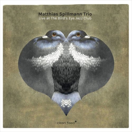 Matthias Spillmann Trio - Live at the Bird's Eye Jazz Club (2019)