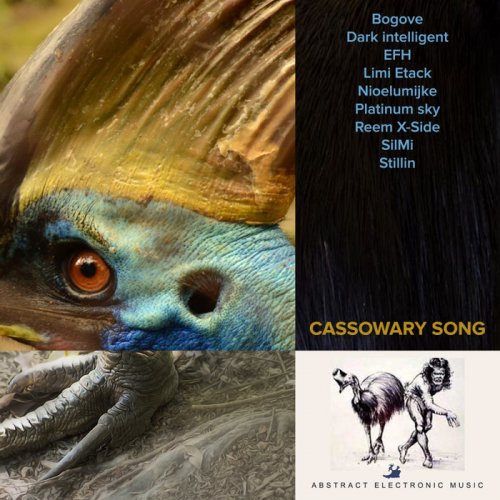 VA - Cassowary Song (2019)