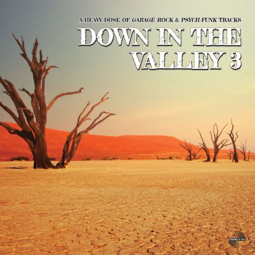 VA - Down In The Valley 3 (2019)
