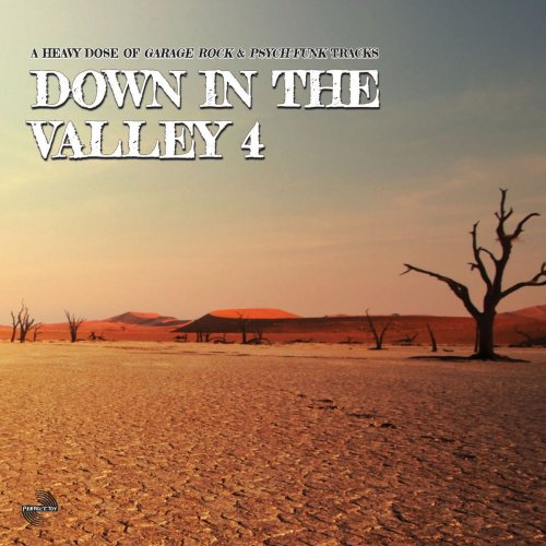 VA - Down In The Valley 4 (2019)