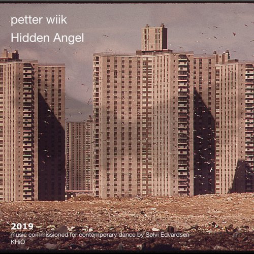 Petter Wiik - Hidden Angel (2019)