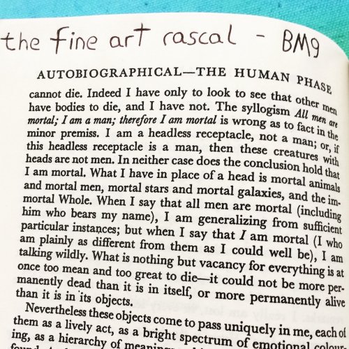 The Fine Art Rascal - BM9 (2019)