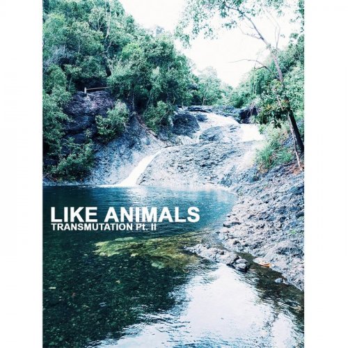 Like Animals - Transmutation II (2019)