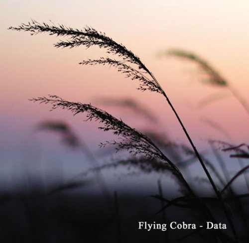 Flying Cobra - Data (2019)