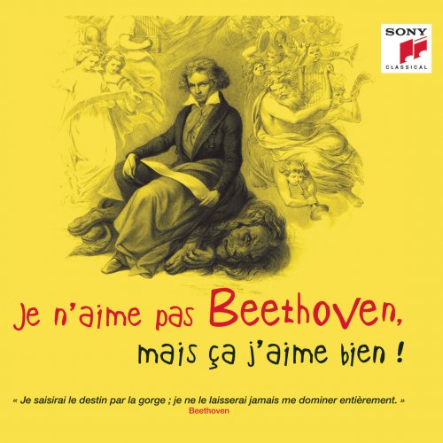 VA - Je n'aime pas Beethoven, mais ça j'aime bien ! (2019)