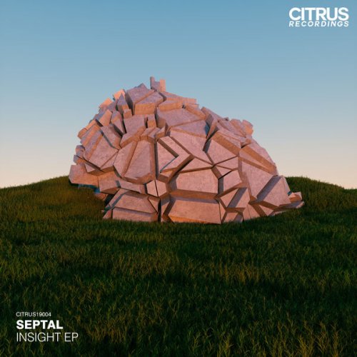 Septal - Insight EP (2019) [Hi-Res]