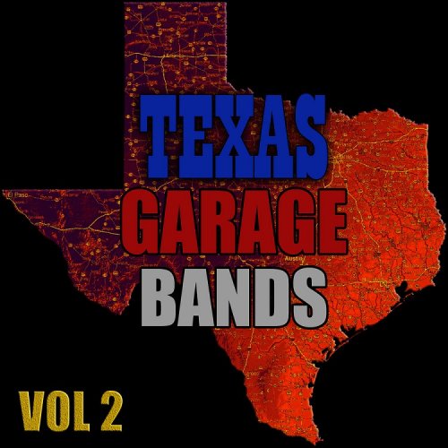 VA - Texas Garage Bands, Vol. 2 (2012)