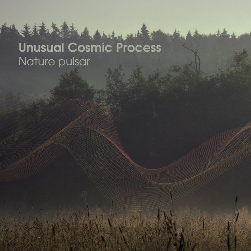 Unusual Cosmic Process - Nature Pulsar (2019)