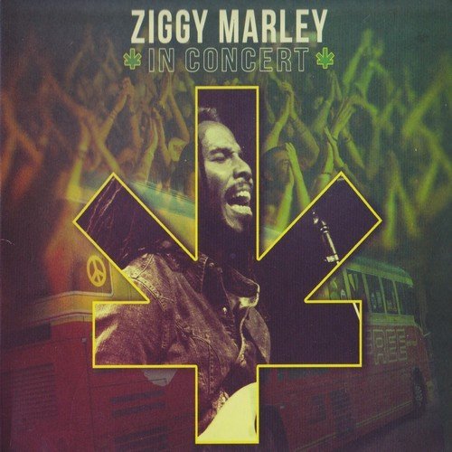 Ziggy Marley - In Concert (2013) Lossless