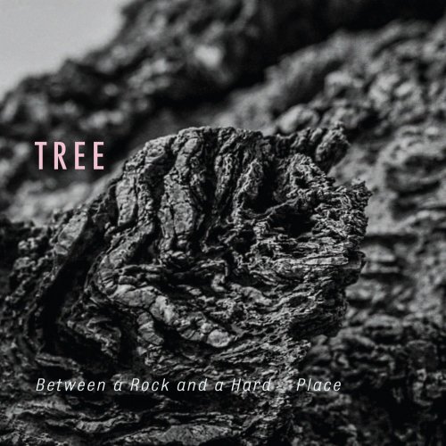 Tree, Georg Vogel, Andreas Waelti, Michael Prowaznik - Between a Rock and a Hard Place (2019) [Hi-Res]