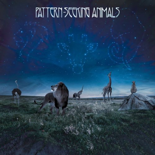 Pattern-Seeking Animals - Pattern-Seeking Animals (2019) [Hi-Res]